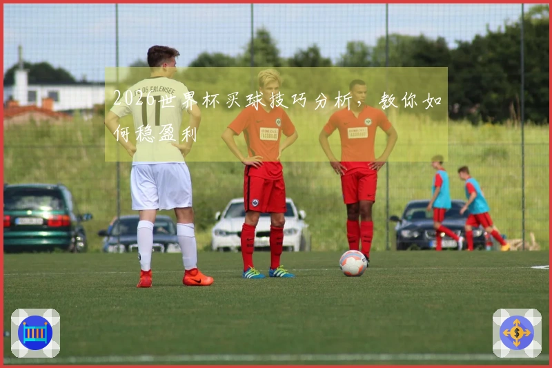 2026世界杯买球技巧分析，教你如何稳盈利