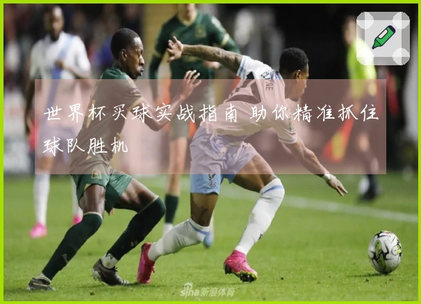 世界杯买球实战指南 助你精准抓住球队胜机