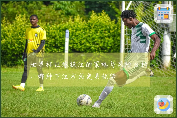 世界杯让球投注的策略与风险分析，哪种下注方式更具优势