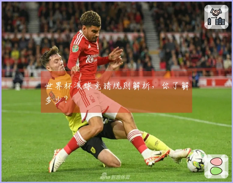 世界杯滚球竞猜规则解析，你了解多少？