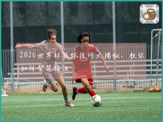 2026世界杯买球技巧大揭秘，教你如何智慧投注