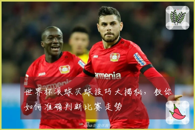 世界杯滚球买球技巧大揭秘，教你如何准确判断比赛走势