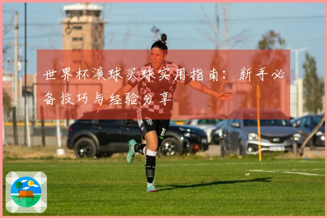 世界杯滚球买球实用指南：新手必备技巧与经验分享