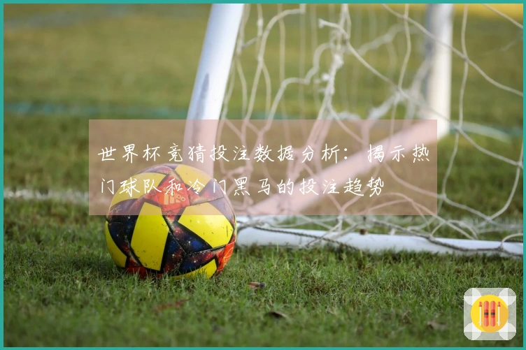 世界杯竞猜投注数据分析：揭示热门球队和冷门黑马的投注趋势