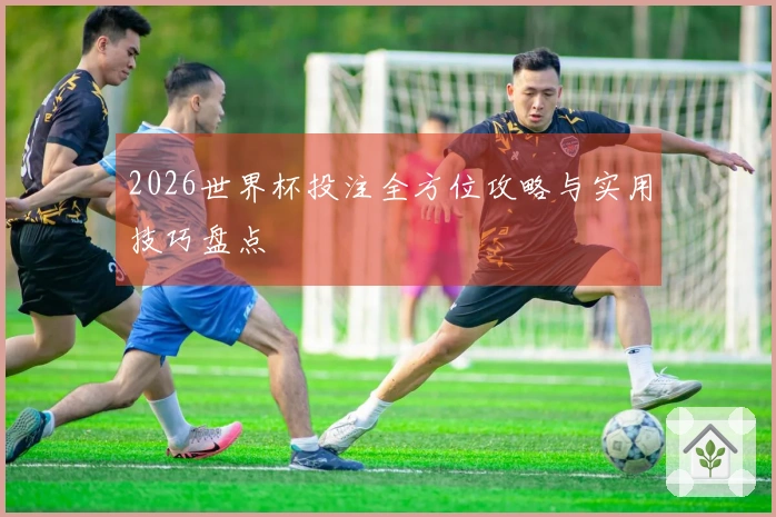 2026世界杯投注全方位攻略与实用技巧盘点