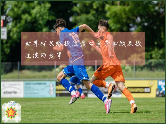 世界杯买球投注盘口全景回顾及投注技巧分享