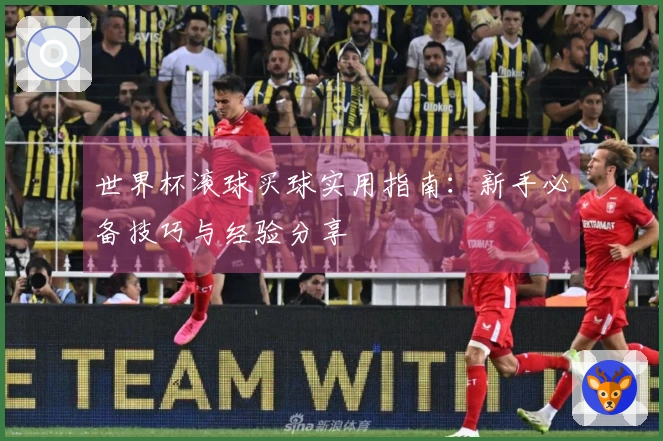 世界杯滚球买球实用指南：新手必备技巧与经验分享