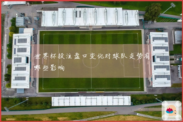 世界杯投注盘口变化对球队走势有哪些影响