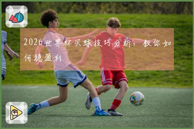 2026世界杯买球技巧分析，教你如何稳盈利