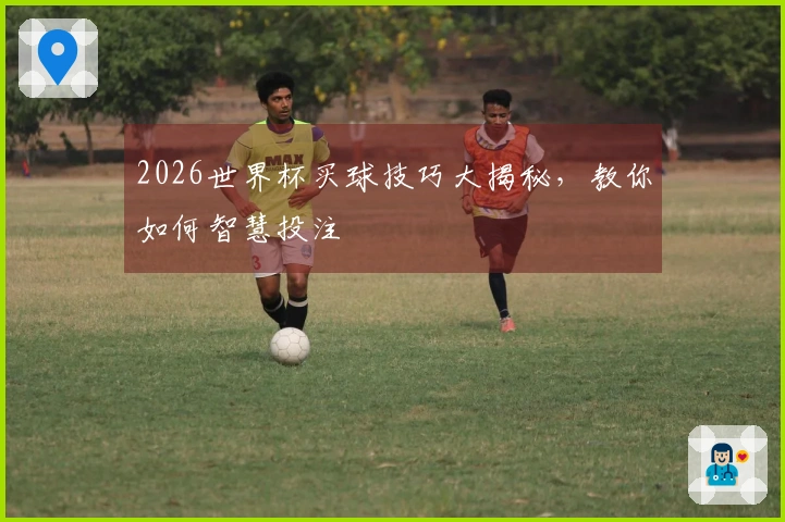 2026世界杯买球技巧大揭秘，教你如何智慧投注