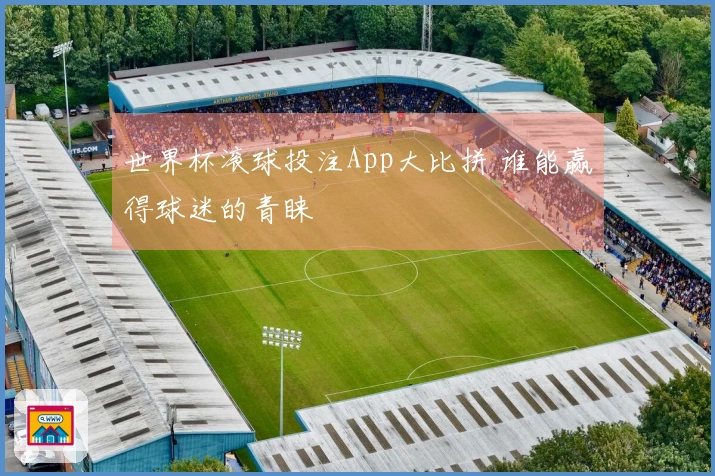 世界杯滚球投注App大比拼 谁能赢得球迷的青睐