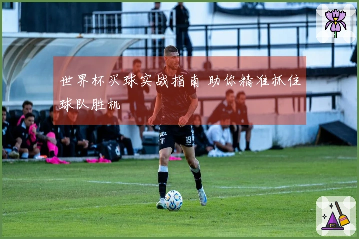 世界杯买球实战指南 助你精准抓住球队胜机